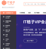 IT橘子網(wǎng)站建設