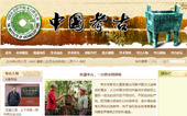 中國考古網(wǎng)站建設(shè)