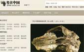 考古中國網(wǎng)網(wǎng)站建設(shè)