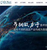 昂納信息技術(shù)(深圳)有限公司網(wǎng)站建設(shè)