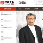 收藏天下網(wǎng)站建設