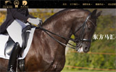 東方馬匯馬術俱樂部網(wǎng)站建設
