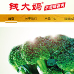 �V���X���r(n��ng)�a(ch��n)Ʒ���޹�˾�W(w��ng)վ���O(sh��)