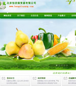 恒欣揚貿(mào)易有限公司網(wǎng)站建設(shè)