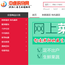 中虞購(gòu)物網(wǎng)網(wǎng)站建設(shè)