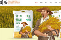 深圳萬域包裝設(shè)計(jì)公司網(wǎng)站建設(shè)