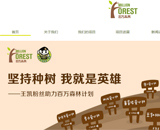 百萬森林網(wǎng)站建設(shè)