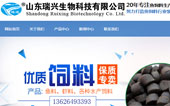 瑞興生物科技有限公司網(wǎng)站建設(shè)