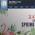 嘉禾舞社網(wǎng)站建設(shè)