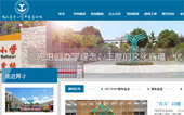武漢市育才小學(xué)網(wǎng)站建設(shè)