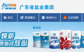 廣東省鹽業(yè)集團(tuán)網(wǎng)站建設(shè)
