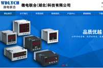 微電聯(lián)合(湖北)科技有限公司網(wǎng)站建設