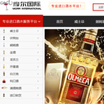 瑞可摩爾網(wǎng)站建設(shè)