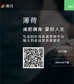 薄荷網(wǎng)網(wǎng)站建設