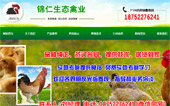 錦仁生態(tài)禽業(yè)網(wǎng)站建設(shè)